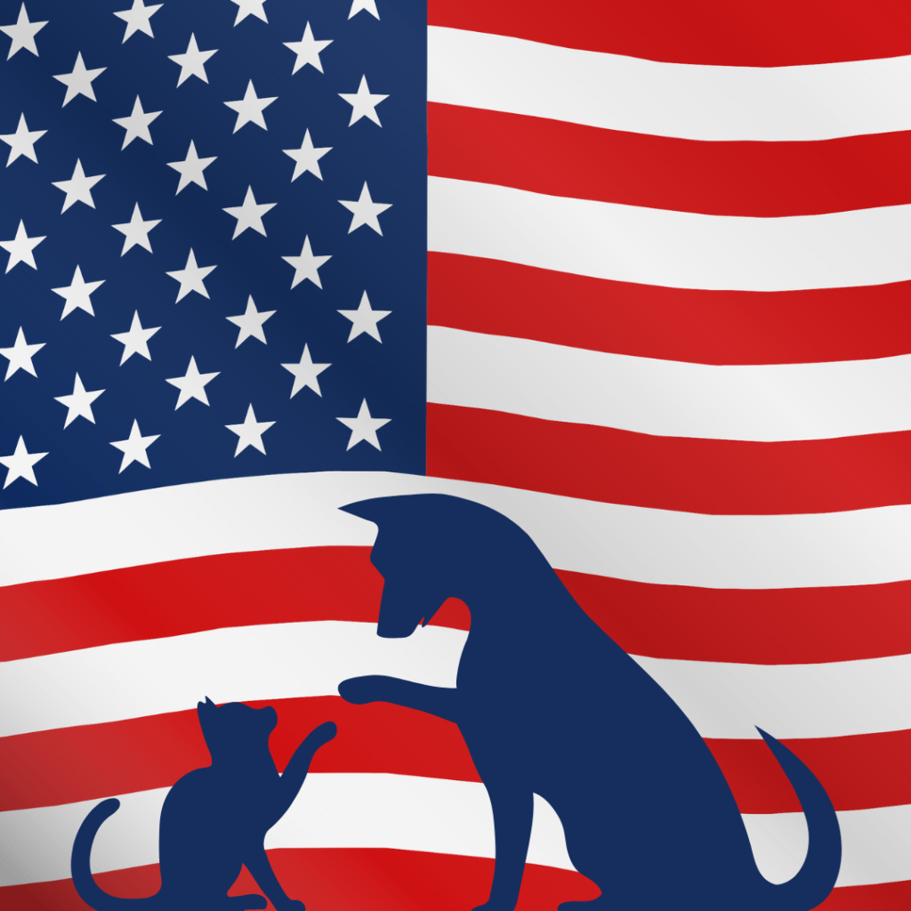 Pet Transport to the USA background header image