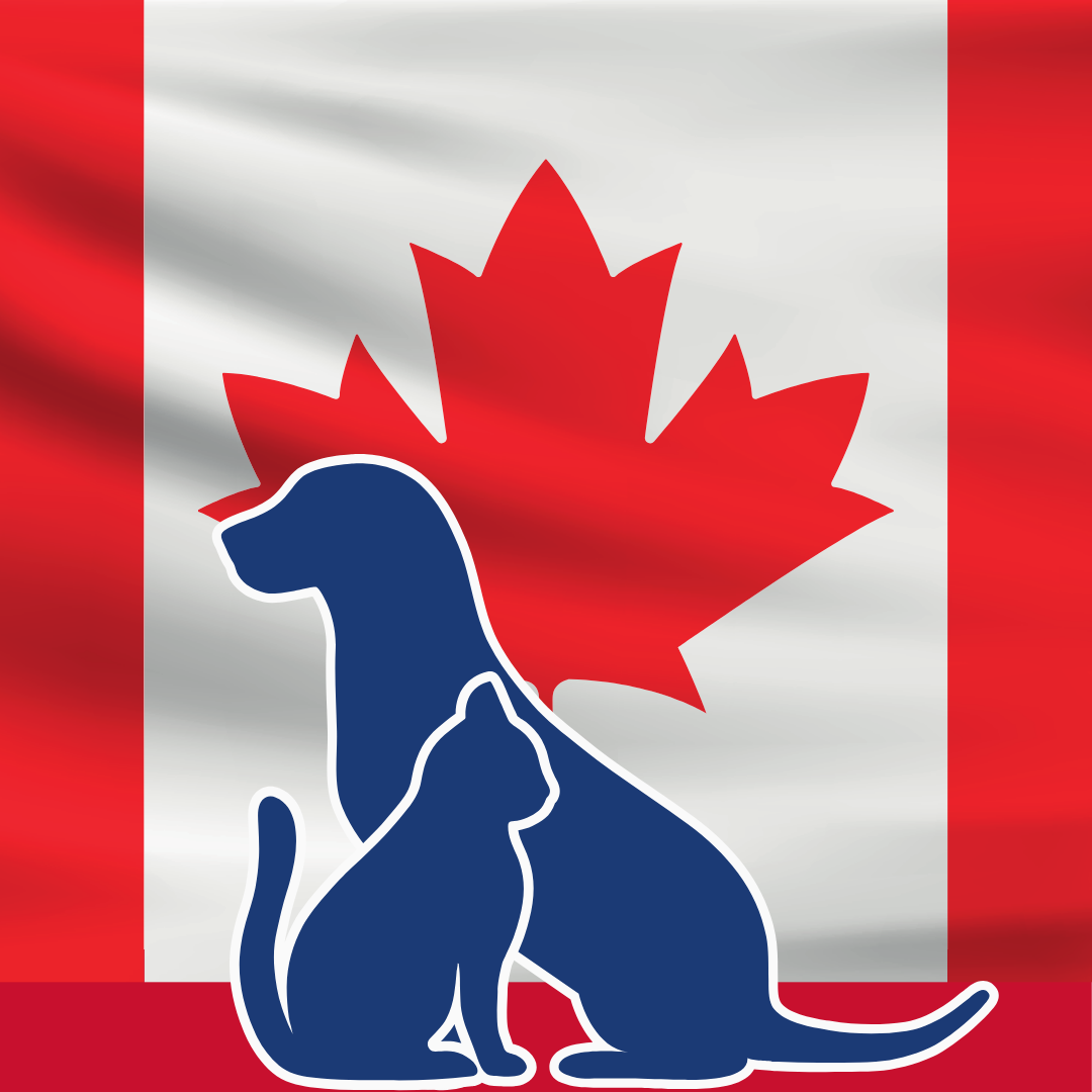 Pet Transport to Canada Background and Featured Image