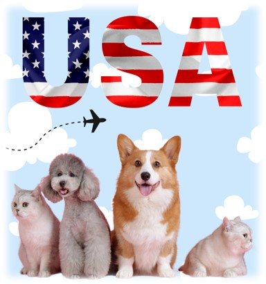 Paws & Claws Across Borders- SA to USA Pet Travel Background Image.jpg