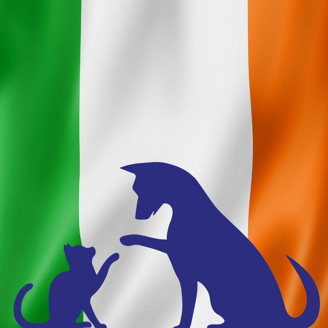 Pet Transport to Ireland Featured Background Image.png