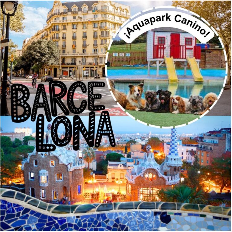 Discovering Barcelona Keringa-Petwings Featured Image