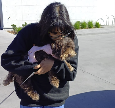 Popples is Safe and Sound in Australia Keringa Petwings review featured image