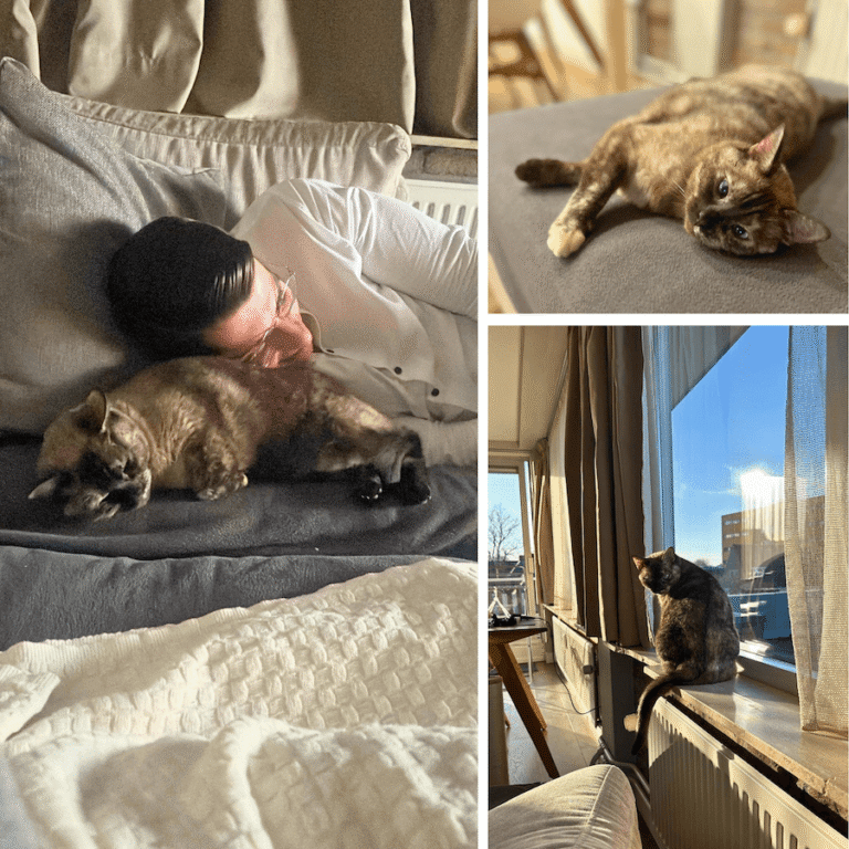 Coco Has Joined Her Family In the Netherlands Featured Image