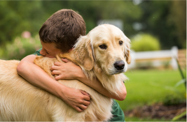 Paws and Purpose- Why Emigrating with Pets Is So Important for Children (and you) Featured Image