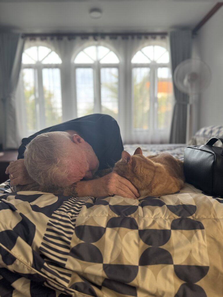 Ginger and Harley Arrived Safely in Cambodia Image1